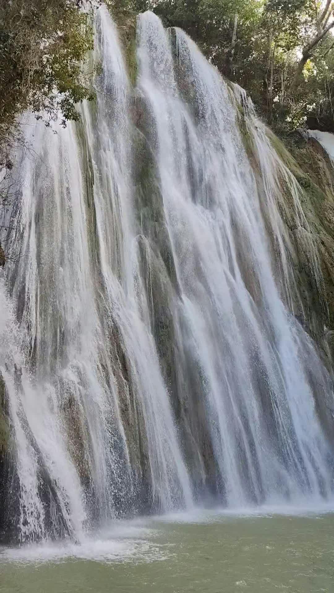 Video by Joaquin Reyes Ramos