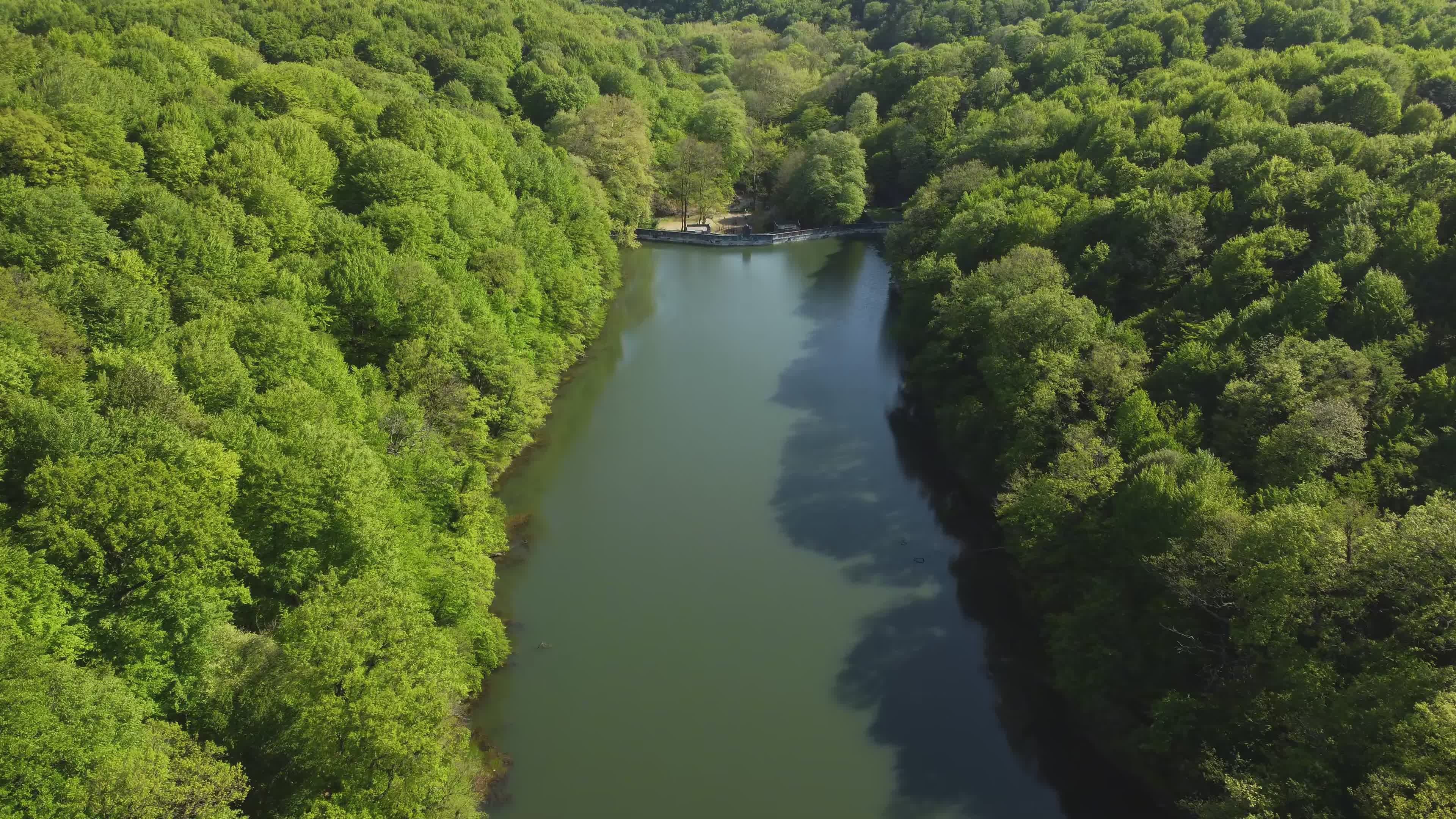 Aerial View of Lush Green Forest River Free Stock Video Footage ...