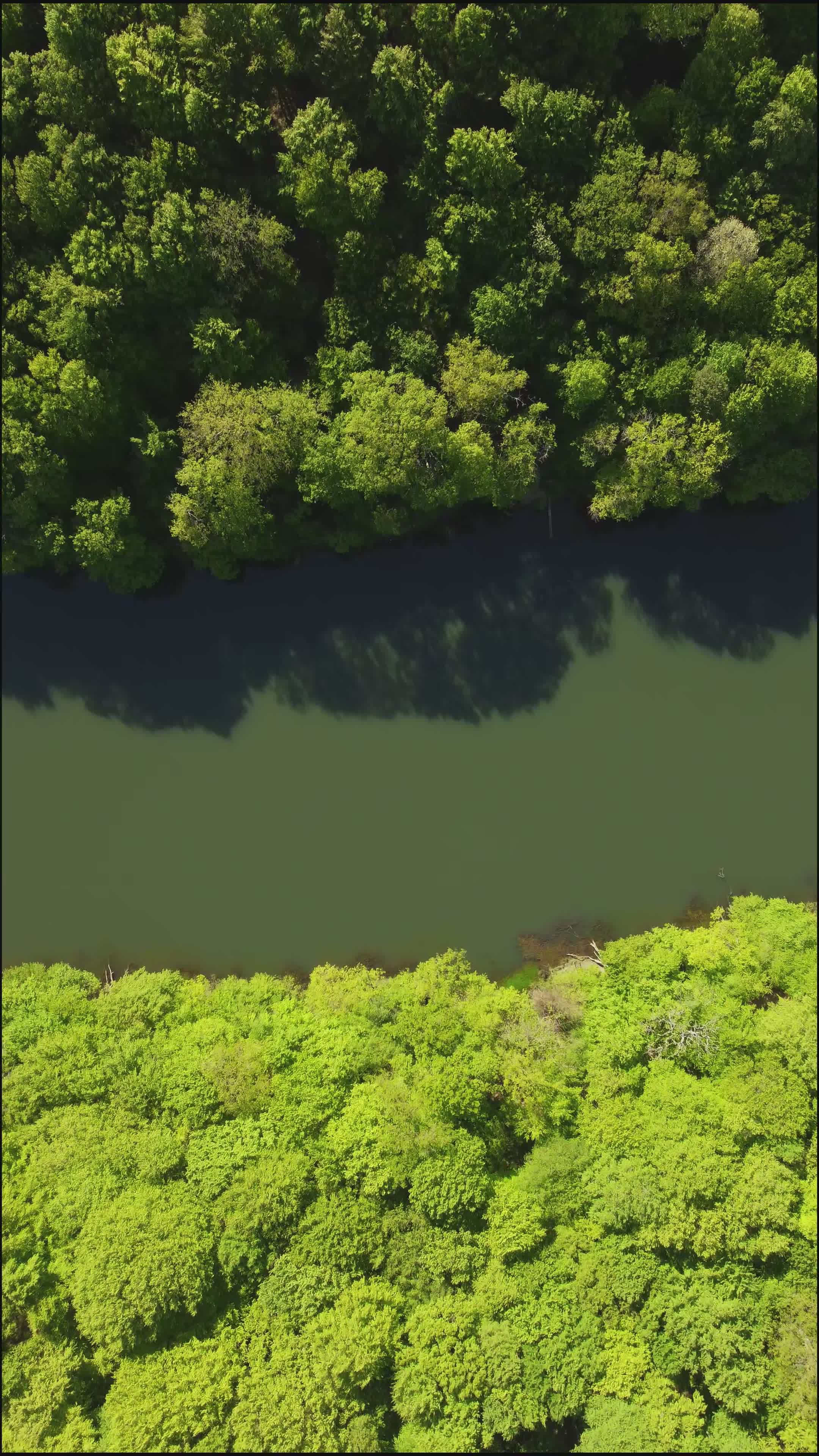 Scenic Aerial View of Green Forest and Lake Free Stock Video Footage ...