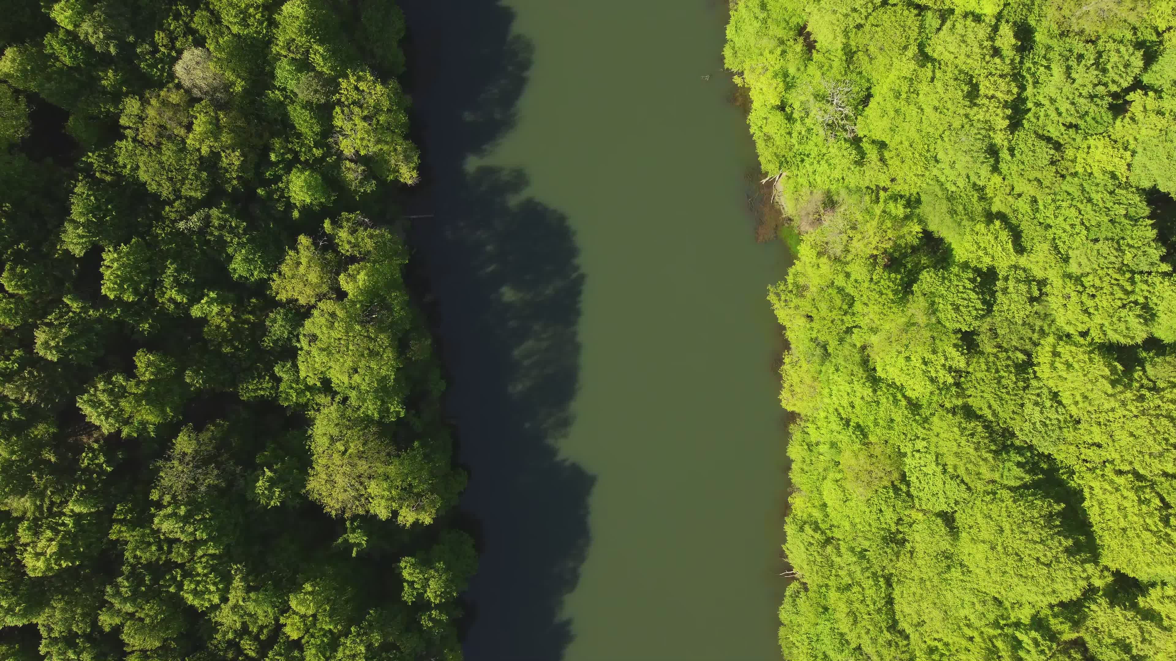 Stunning Aerial View of Lush Forest and River Free Stock Video Footage ...