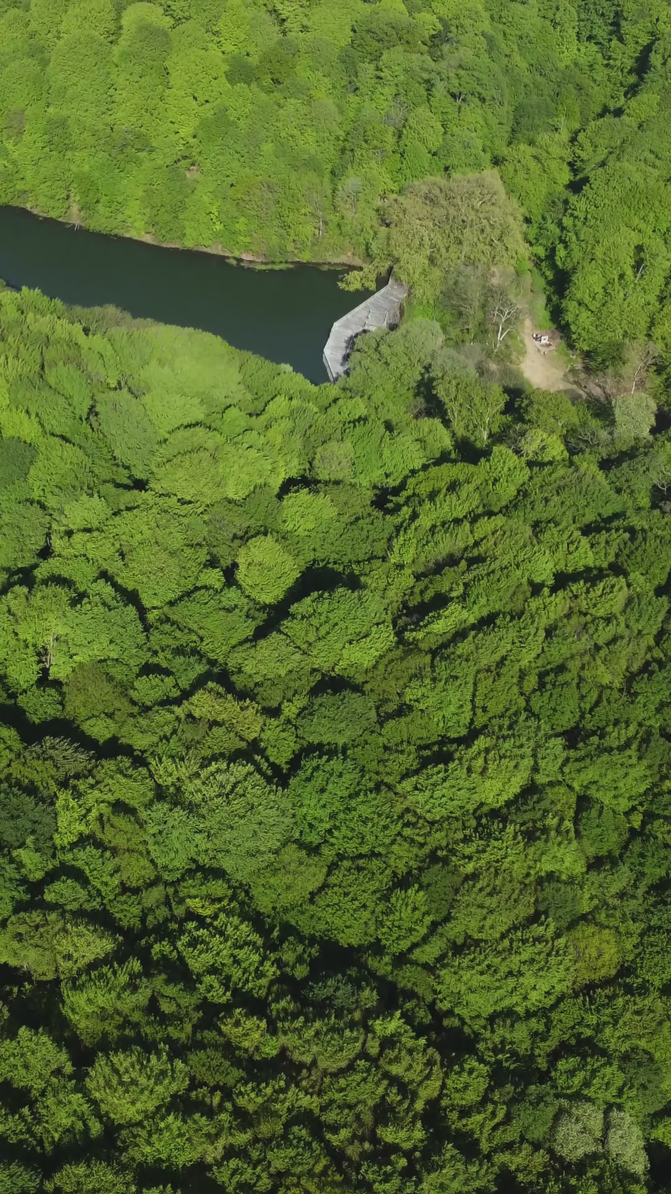 Aerial View of Lush Green Forest and Dam Free Stock Video Footage ...