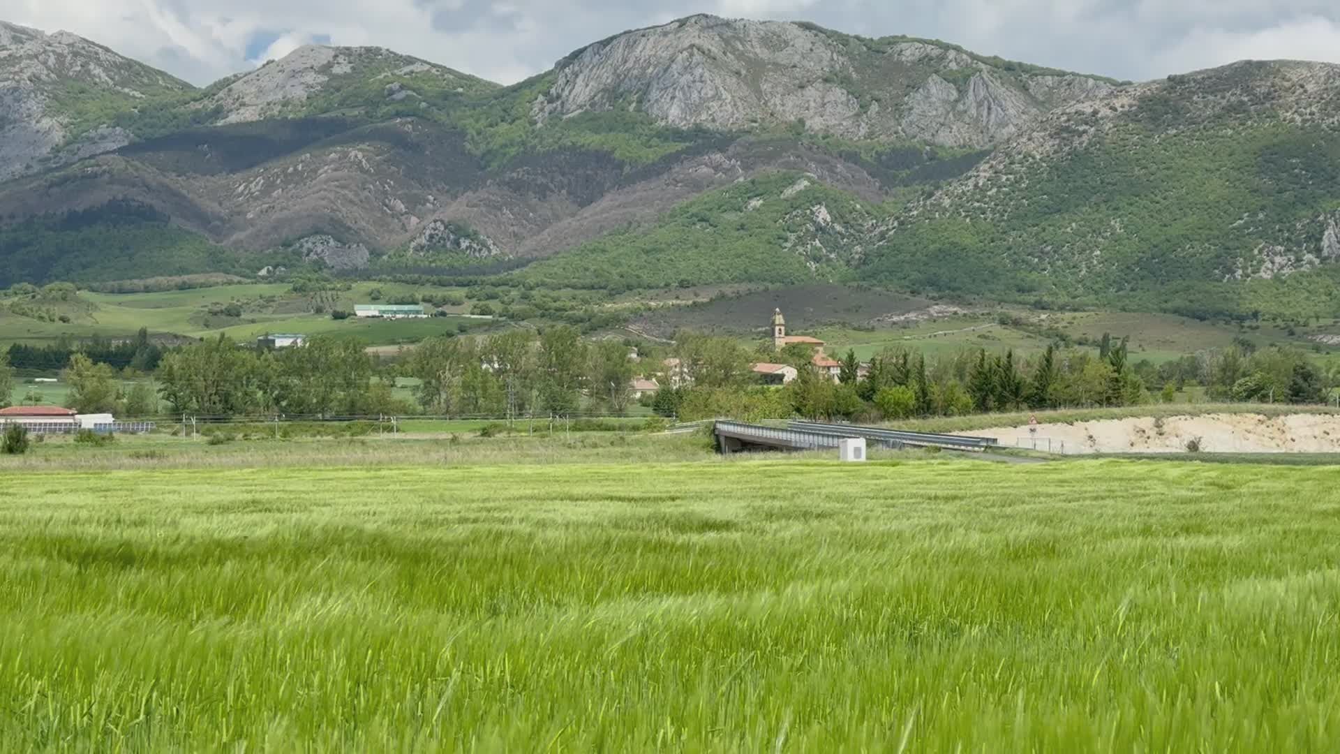 Grassy Environment Videos, Download The BEST Free 4k Stock Video ...