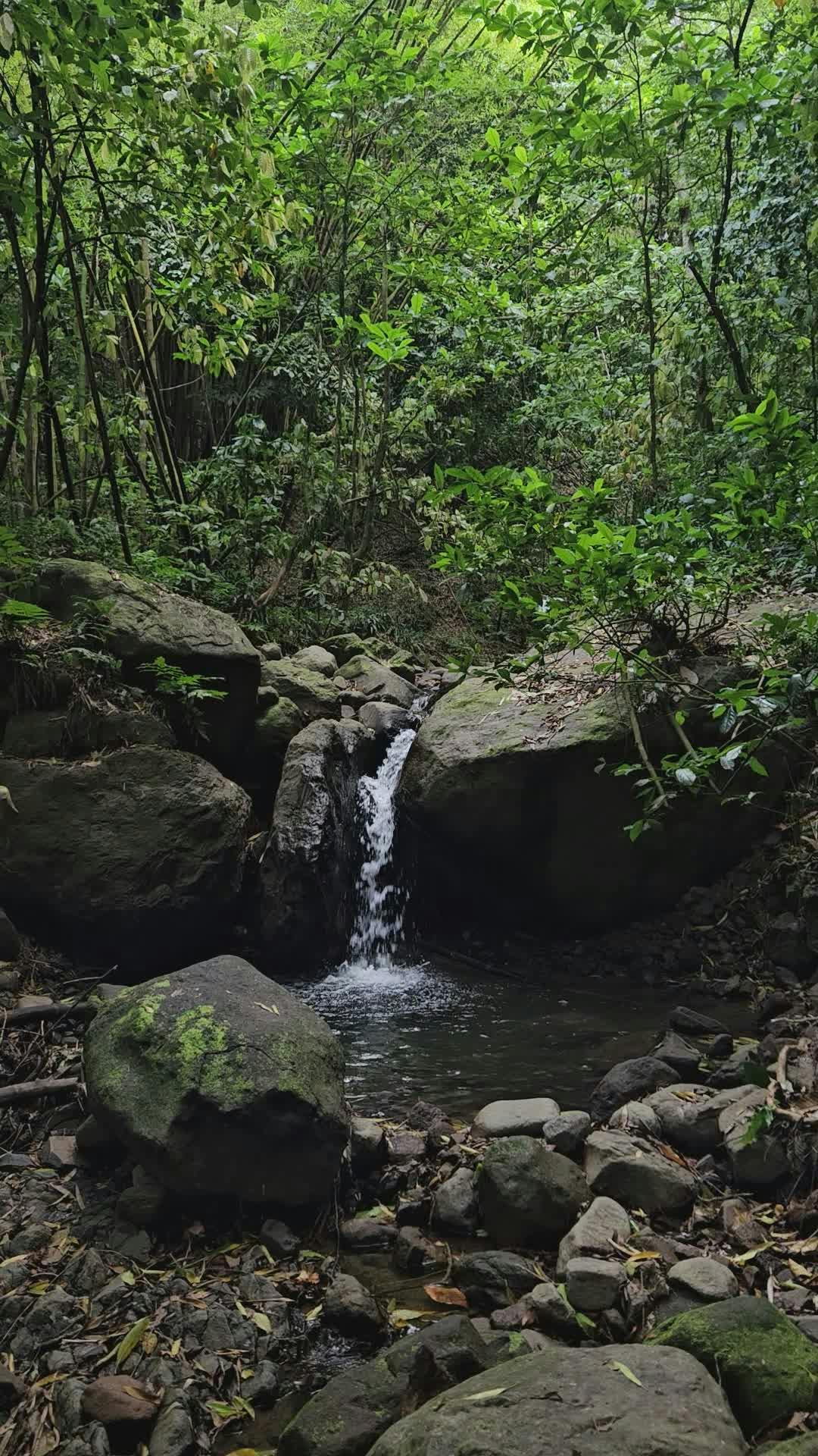 Omegle+Banana+Girls Videos, Download The BEST Free 4k Stock Video