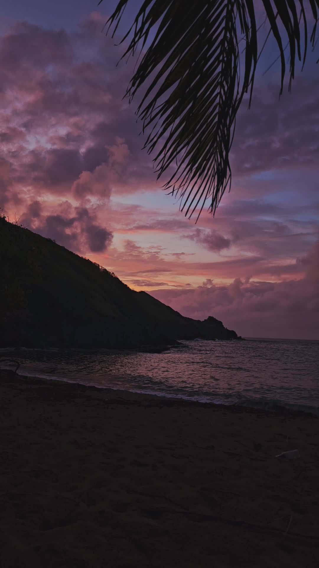 Serene Tropical Sunset on a Quiet Beach Free Stock Video Footage ...