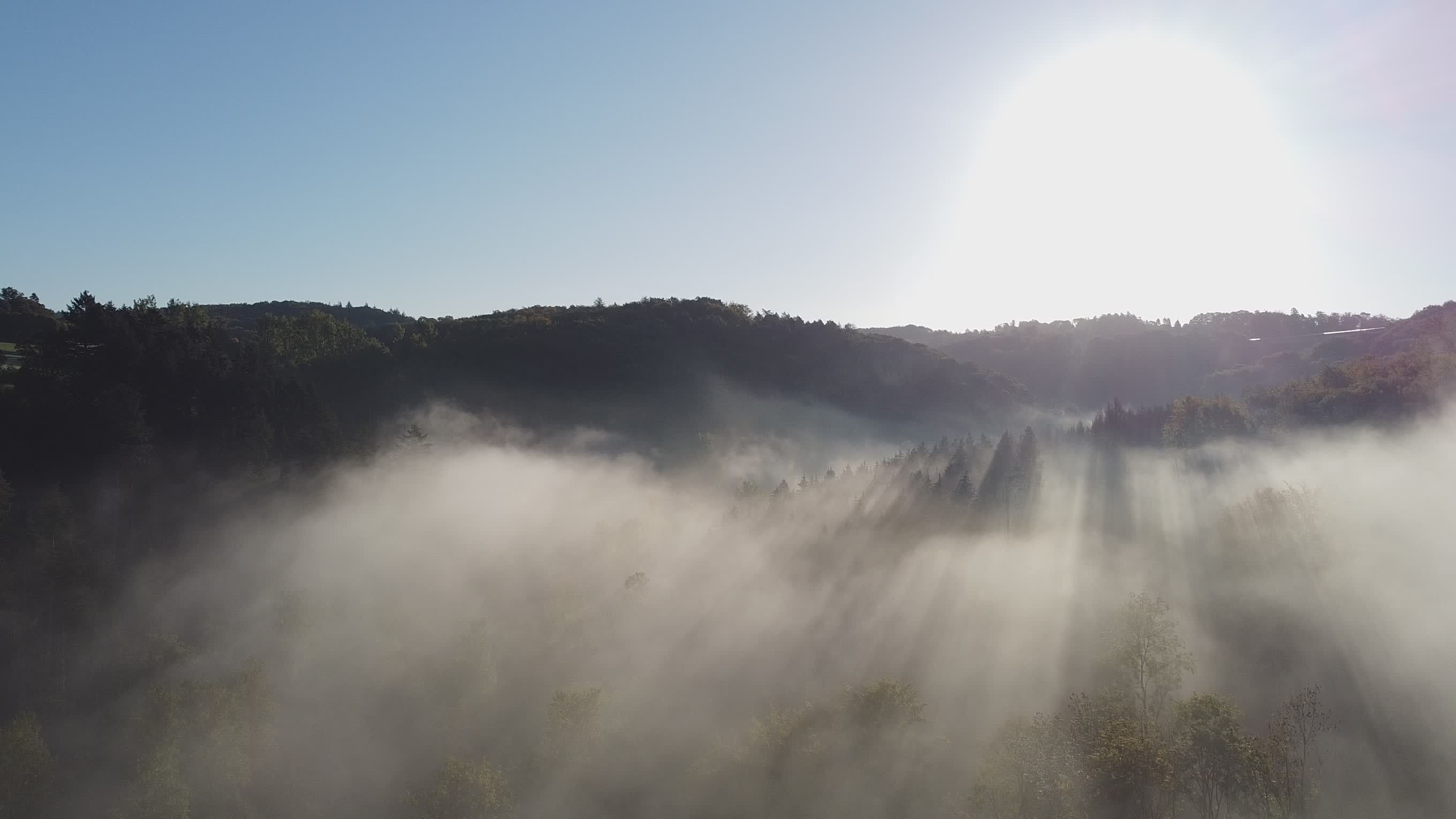 Peaceful Aerial View of Misty Forest at Sunrise Free Stock Video ...