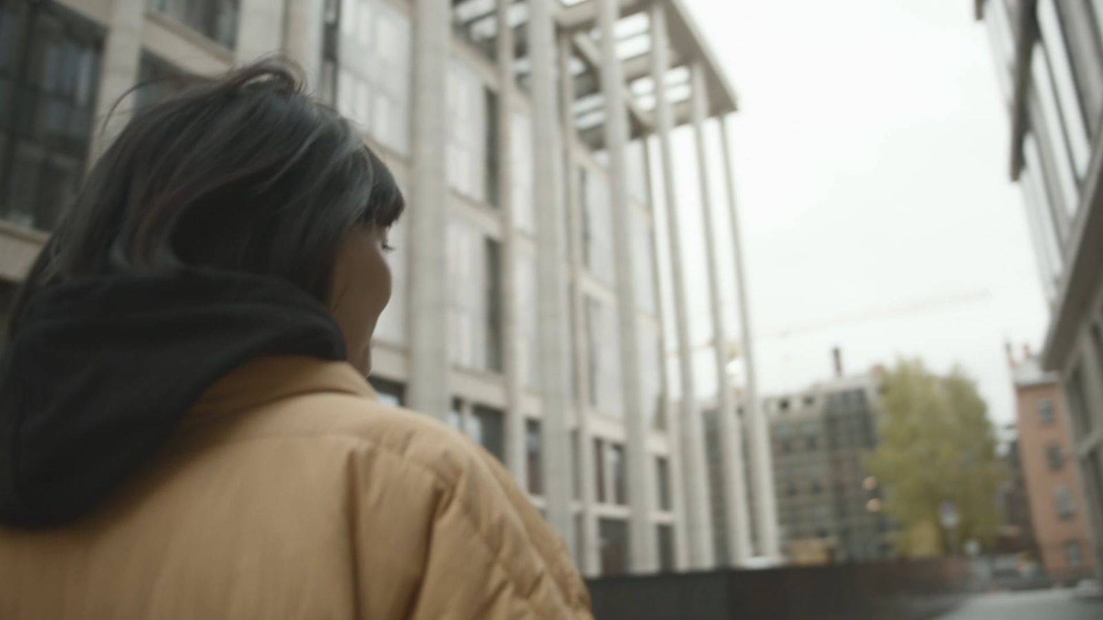 Free Videos Download The Best Free 4k Stock Video Footage Free Hd