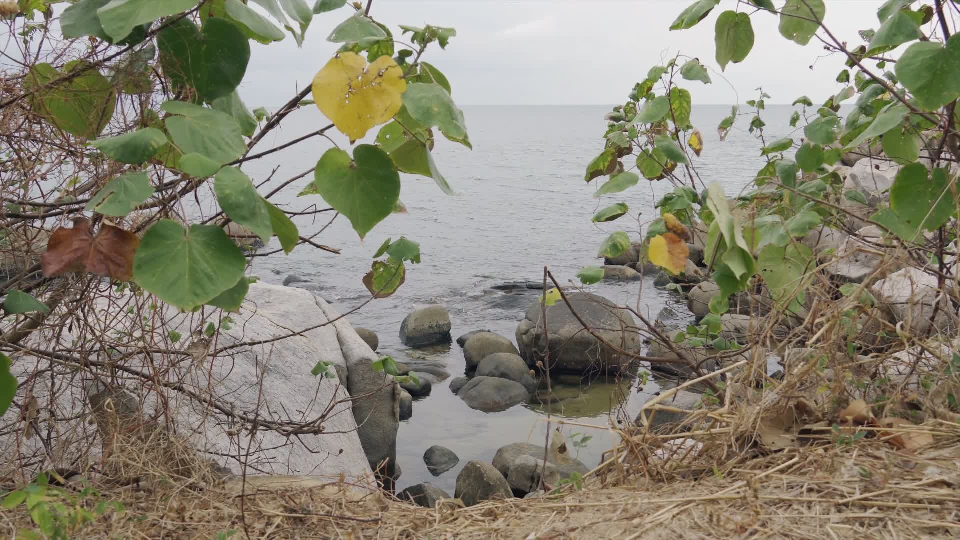 Video by NGUYỄN THÀNH NHƠN