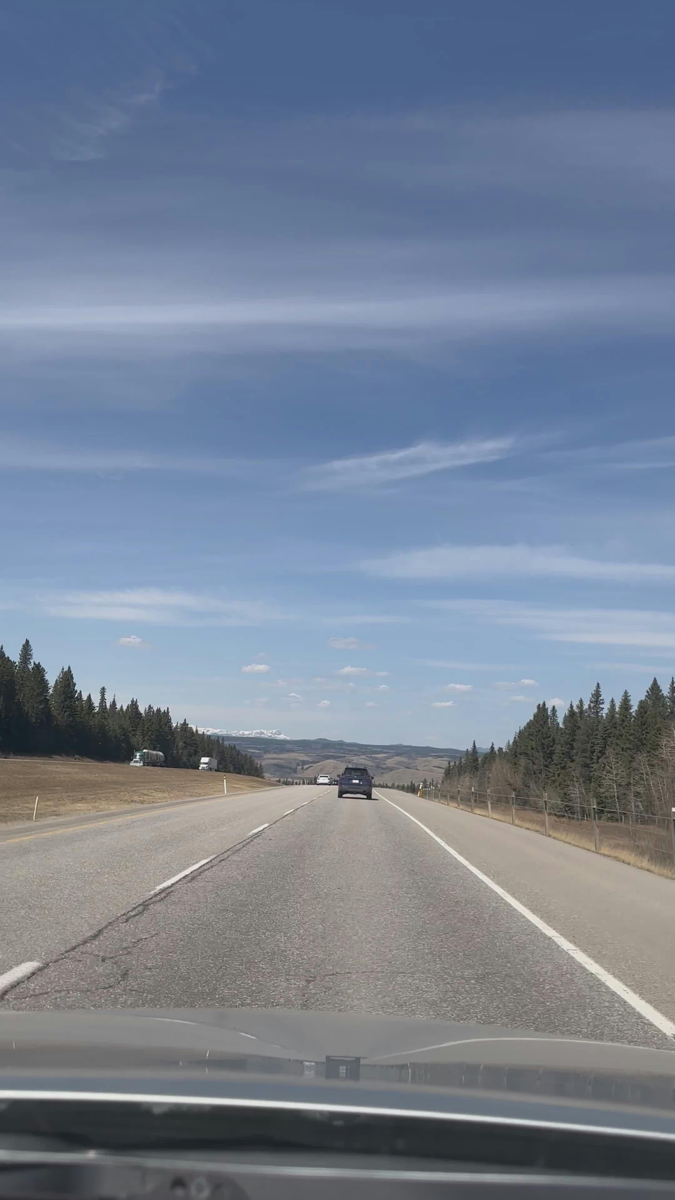 Video by Lindsey Mateo