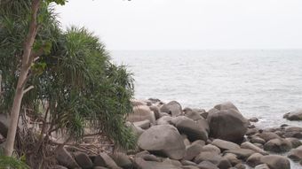 海边免费下载免费下载视频素材
