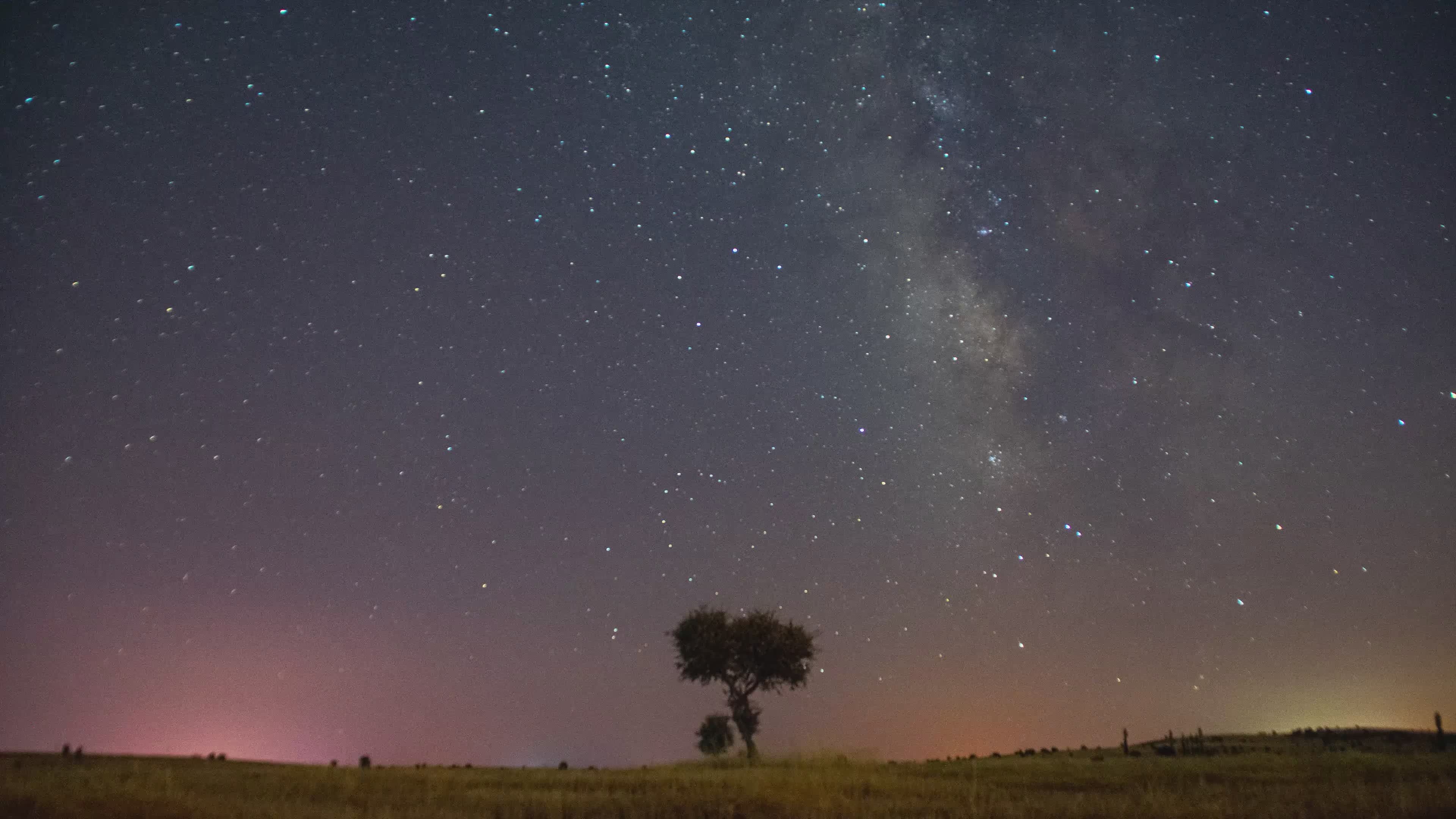 Stunning Night Sky Timelapse with Milky Way Free Stock Video Footage ...