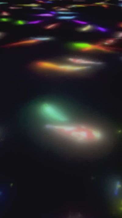 Anna Kal's abstract art motion video