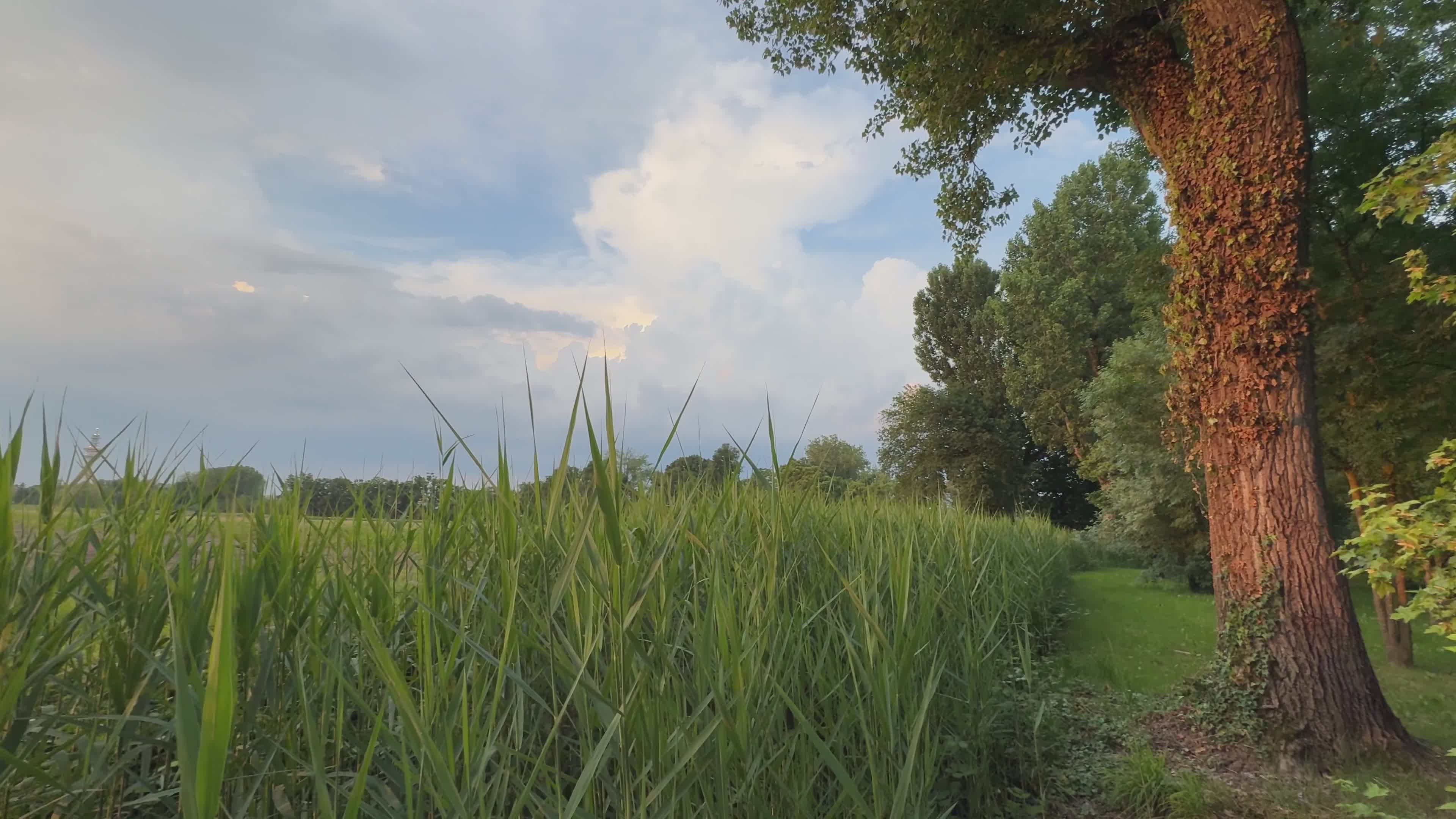 Video by Earth Photart