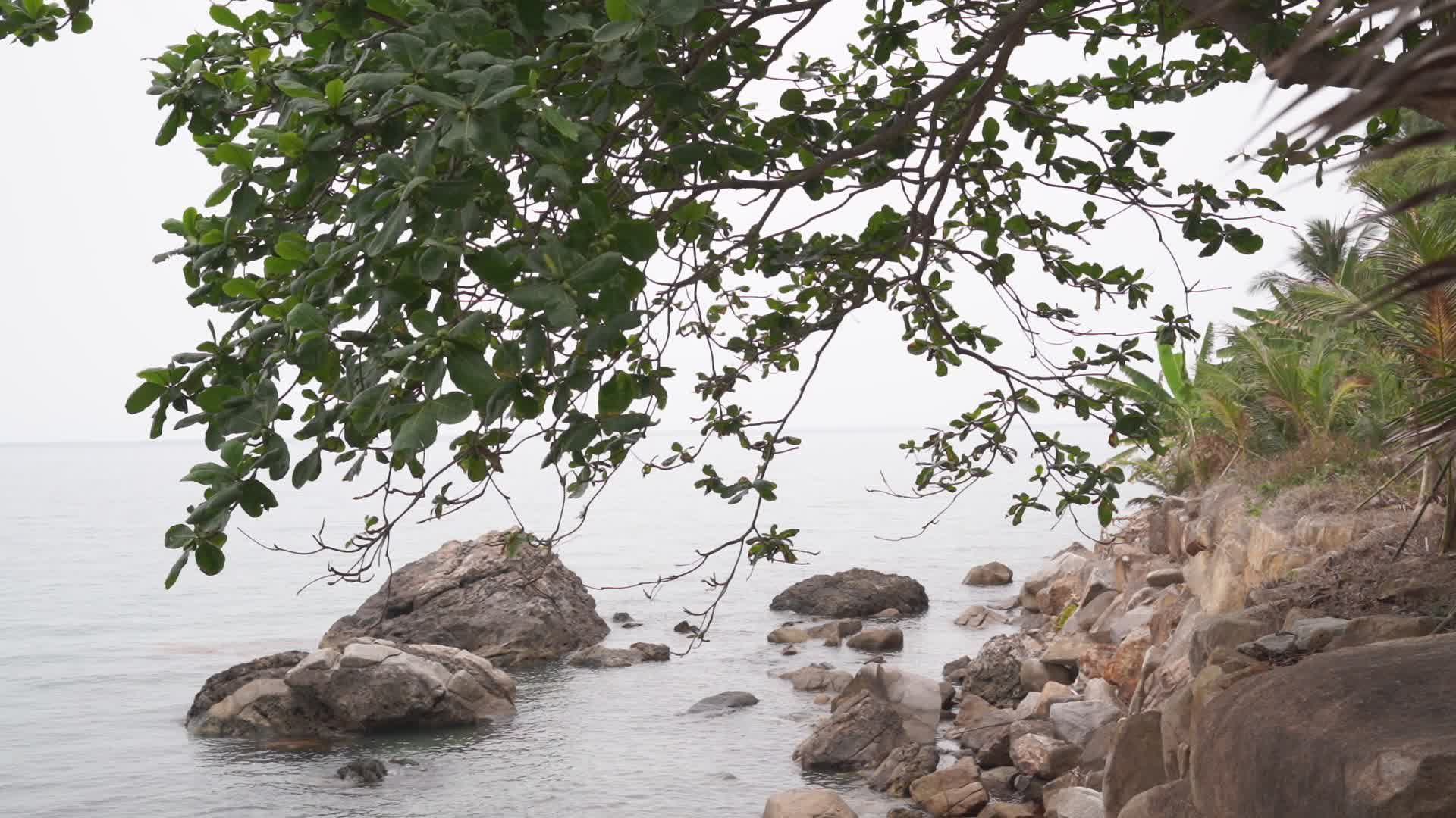 Video by NGUYỄN THÀNH NHƠN