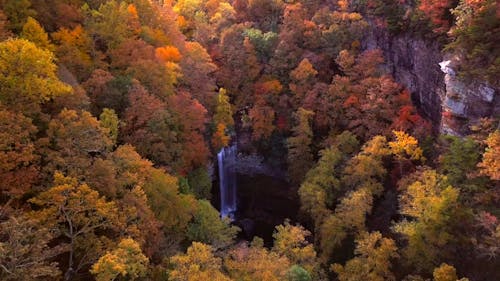 Sonbaharda Bir Dağ Ormanının Renklerini Değiştirmek