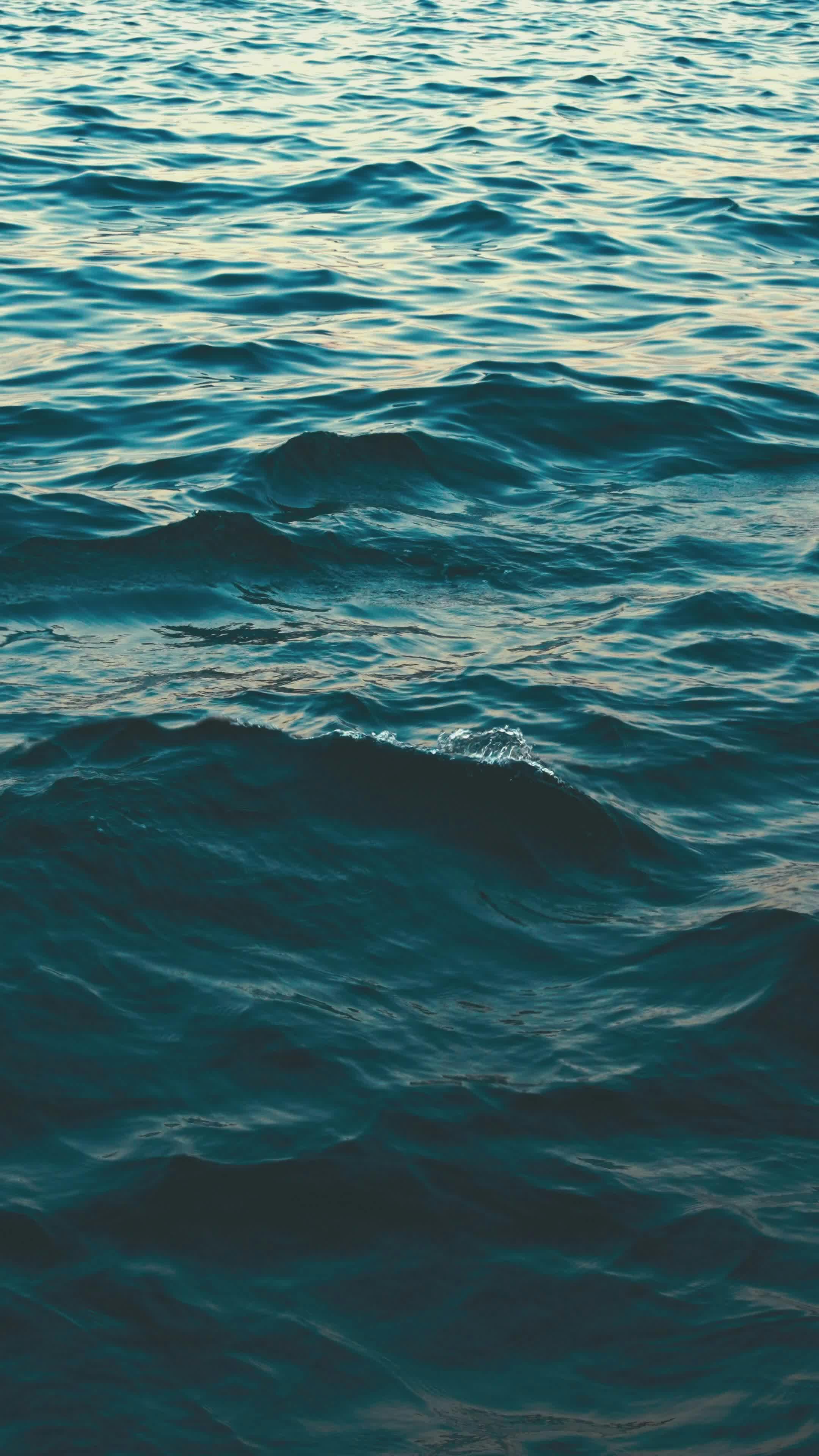 Video by Fatih Berat Örer