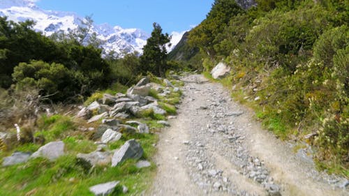 Un Sentier Rocheux Hors Route Qui Monte La Montagne