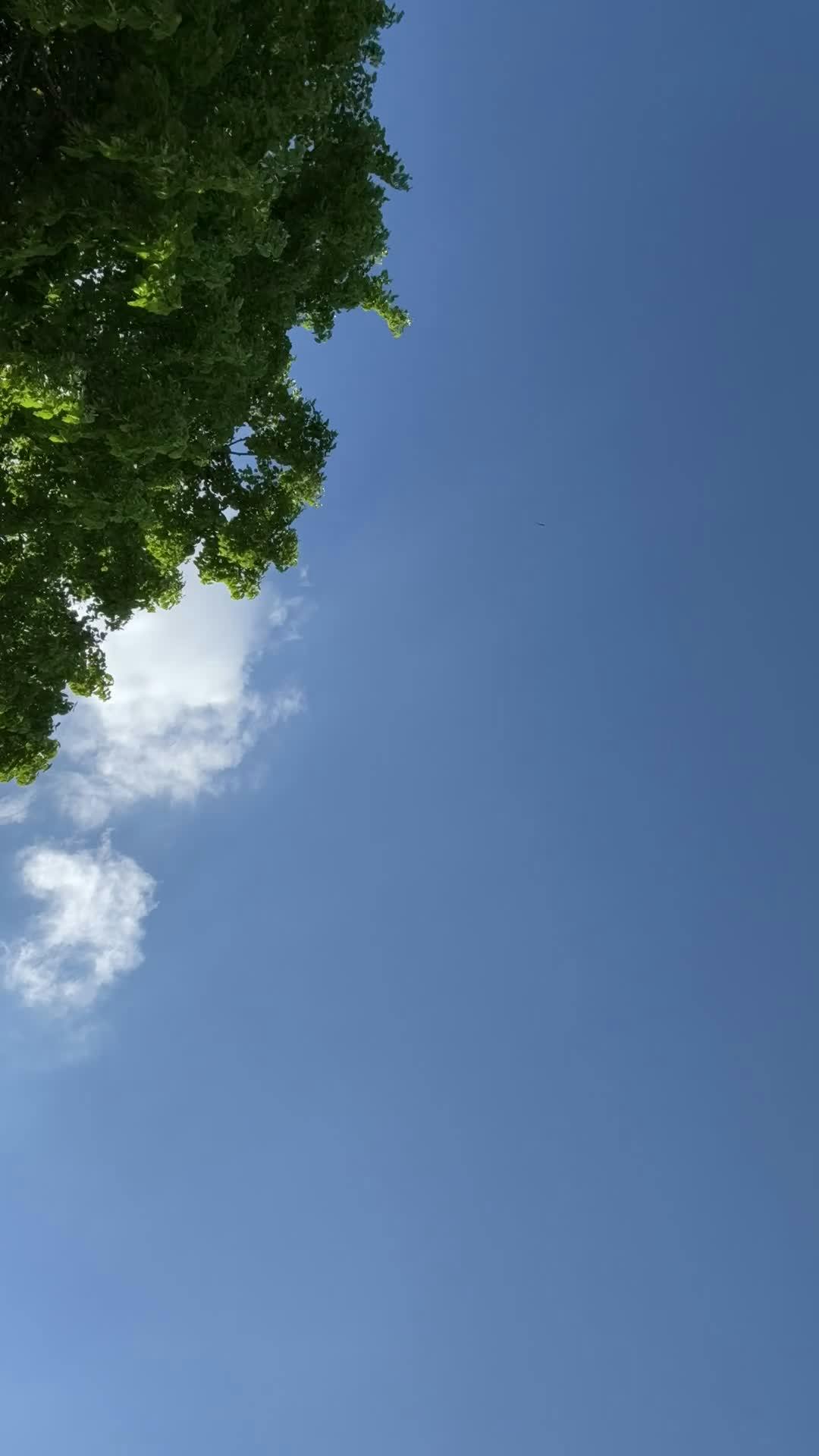 Video by Bav Vadgama