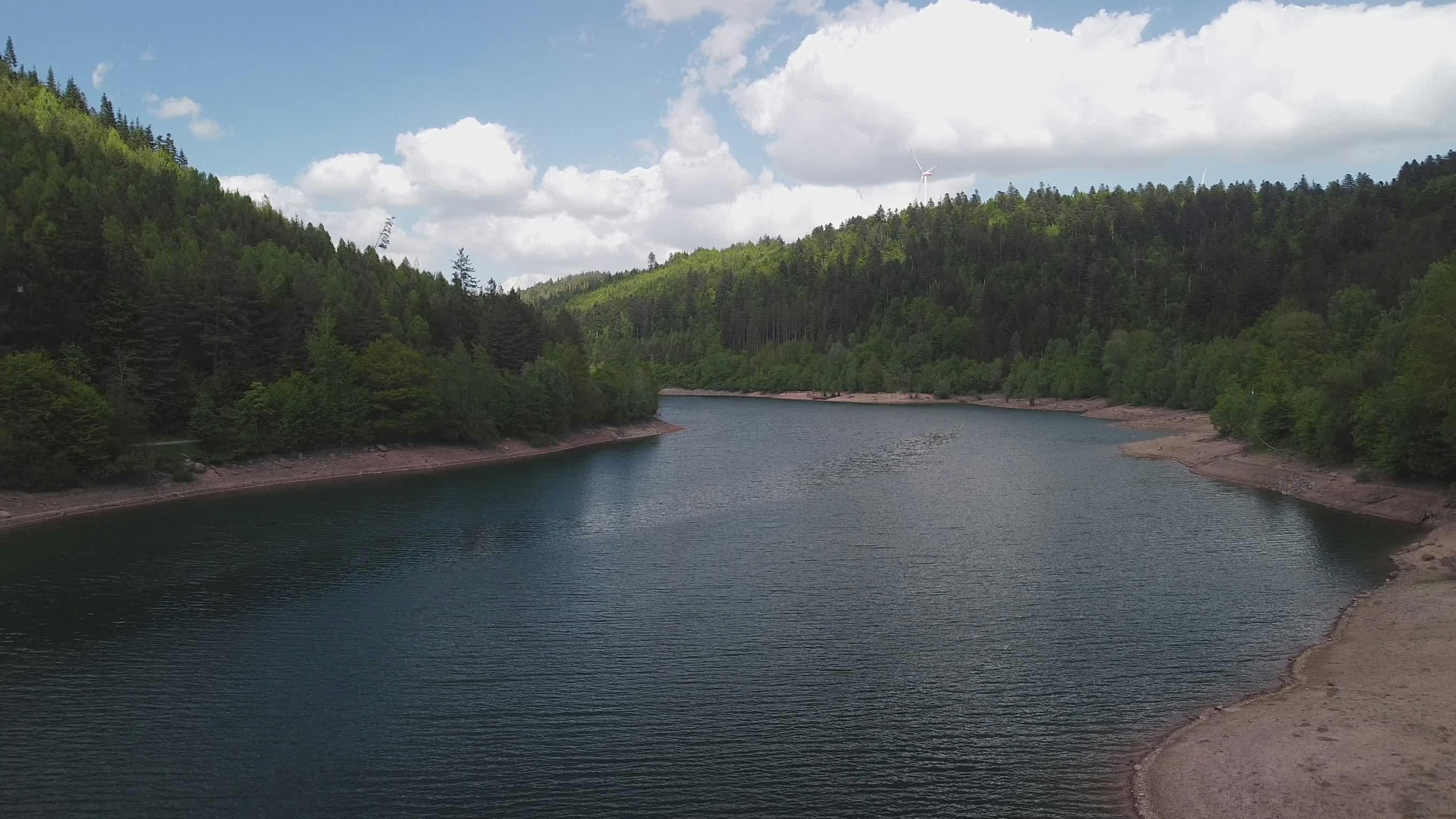 aerial view of serene forest lake in summer 32096668
