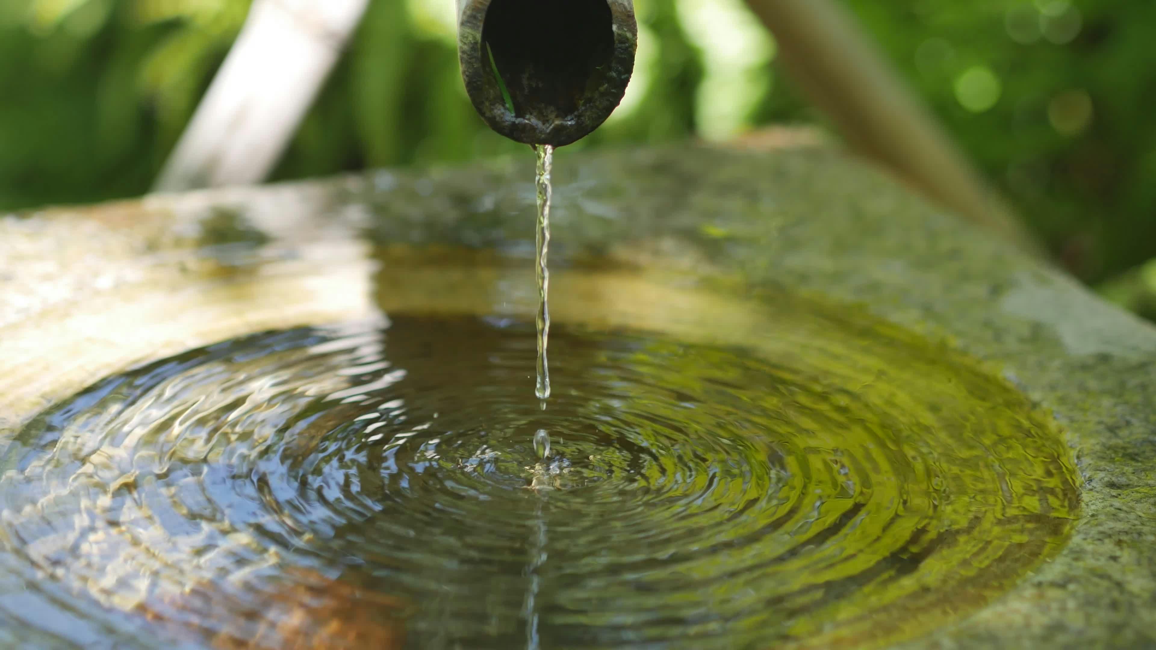 Florescent+Asmr+Onlyfans+Leaks Videos, Download The BEST Free 4k Stock