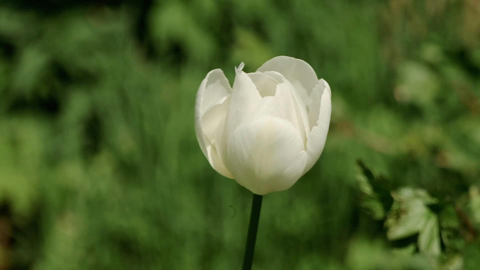 Aozora+Leaked+Onlyfans+Video Videos, Download The BEST Free 4k Stock