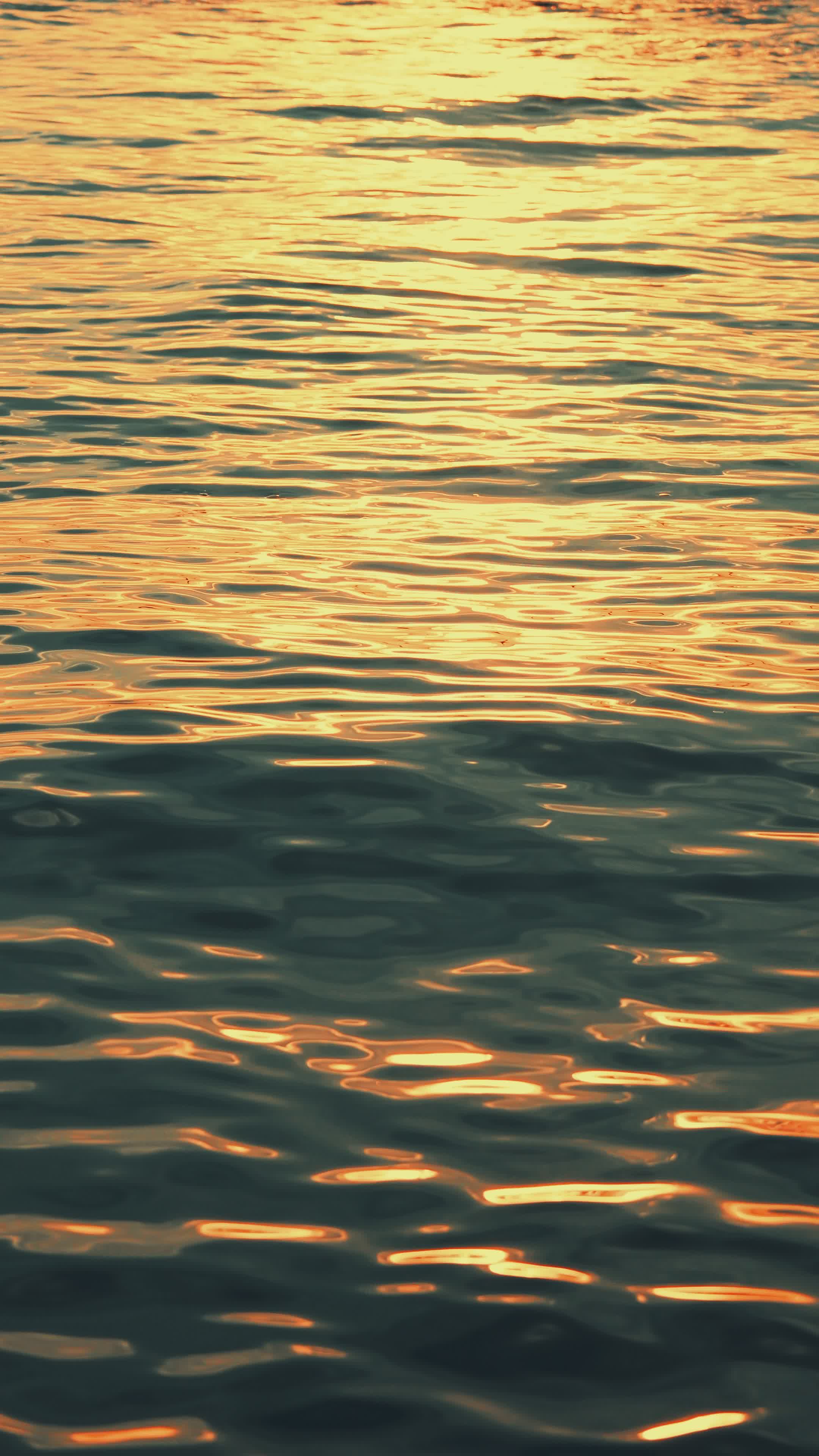 Serene Golden Sunset Reflecting on Water Free Stock Video Footage ...