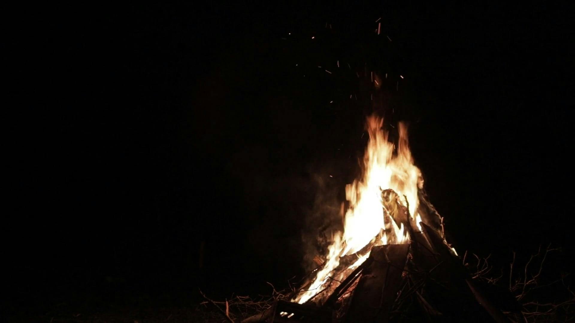 The Burning Flame Of A Bonfire · Free Stock Video