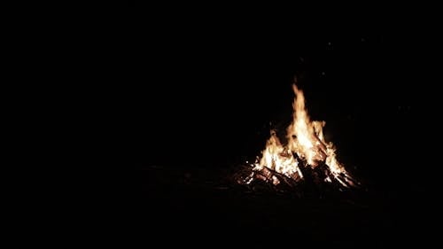 A Bonfire Providing Light On The Darkness Of The Night