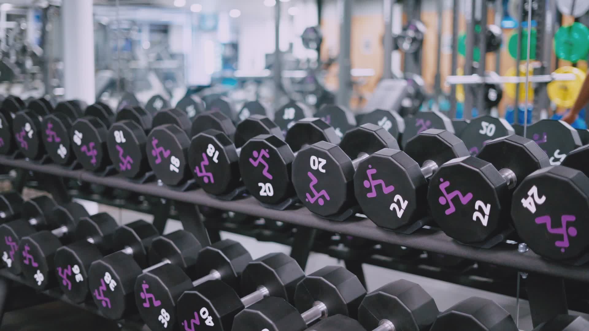 Dynamic Gym Workout with Free Weights in Action Free Stock Video ...