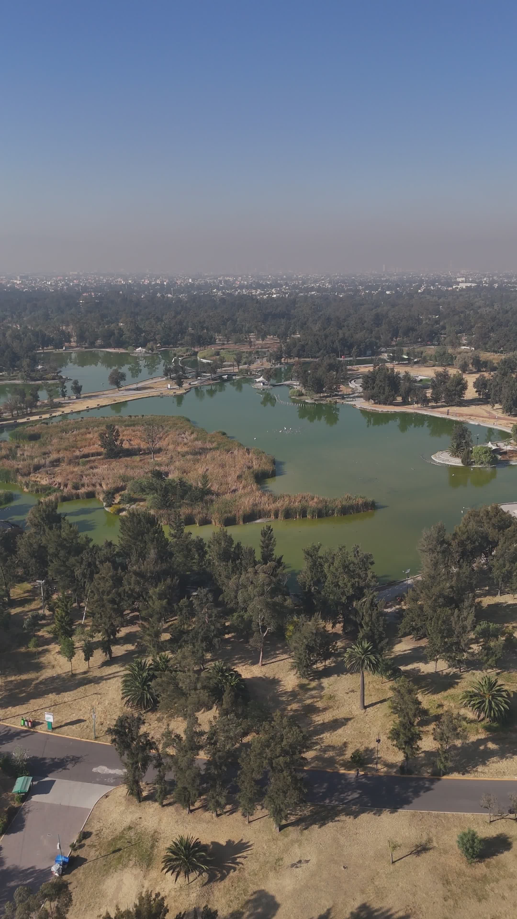 Stunning Aerial View of Green Lake and Forest Free Stock Video Footage ...