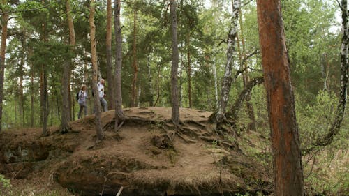 An Elderly Couple Inside A Forest Waving At Something Above