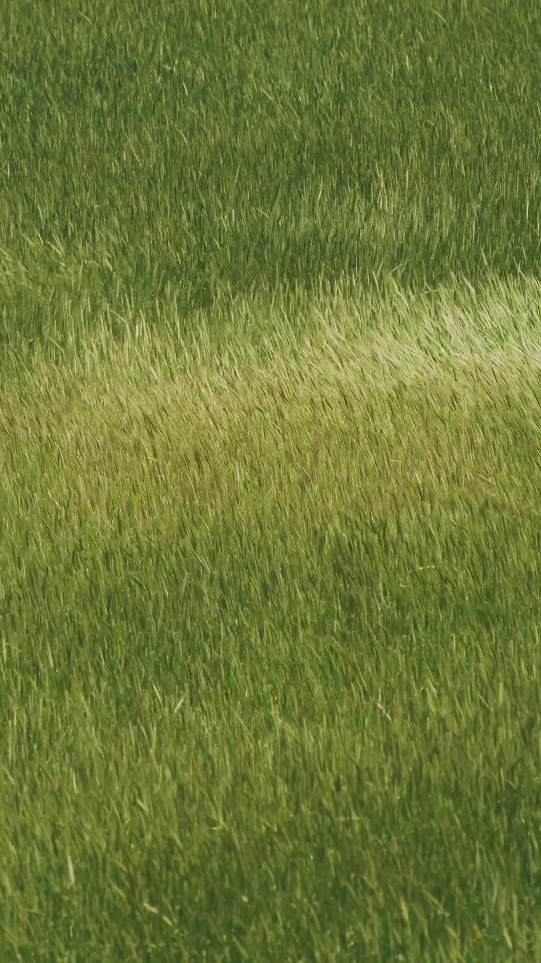 Video by 정규송 Nui MALAMA