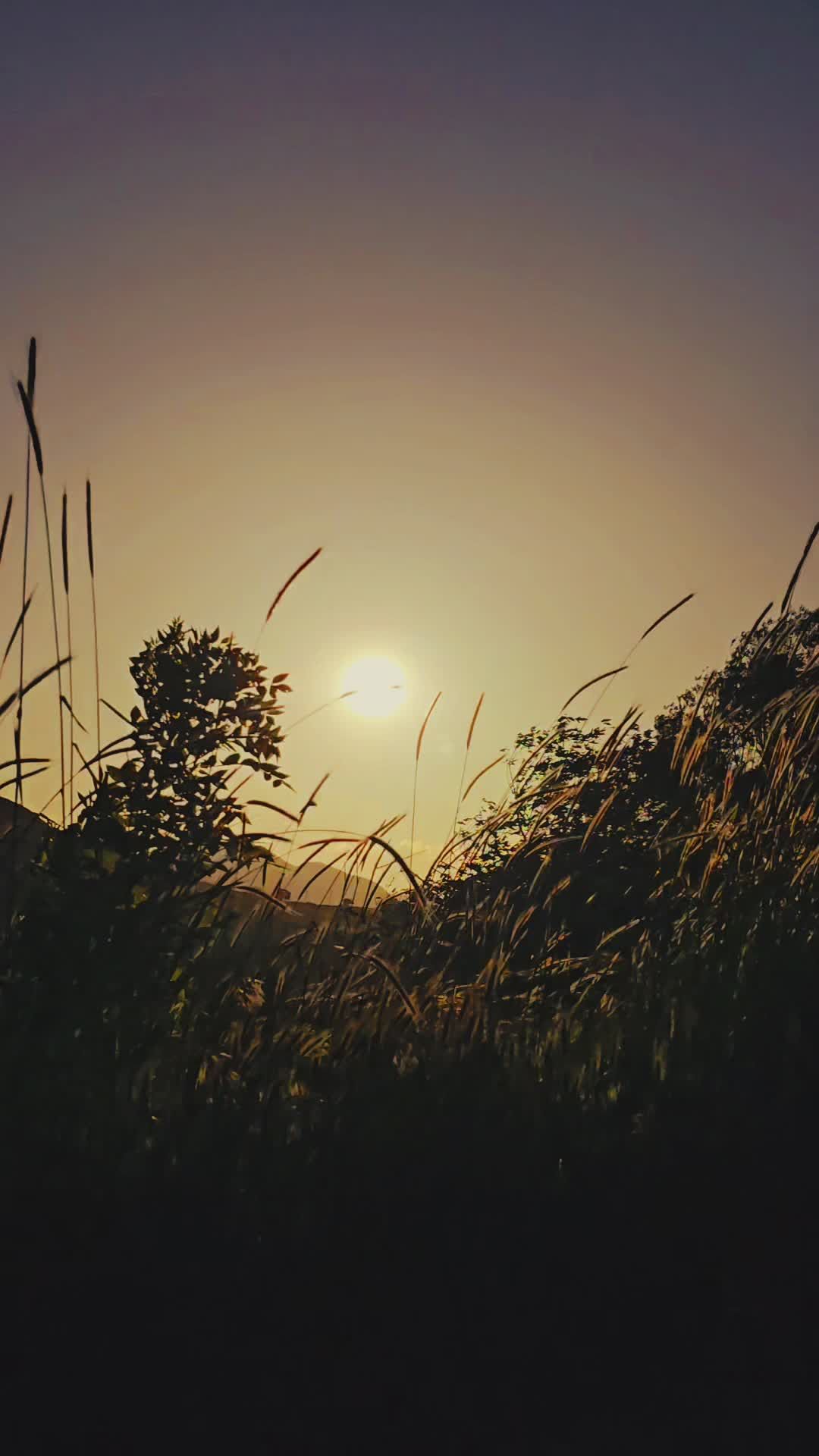 Video by Hanifi Sarıkaya