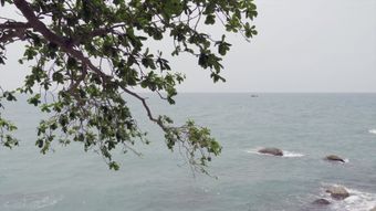 海边免费下载免费下载视频素材