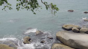 海边免费下载免费下载视频素材