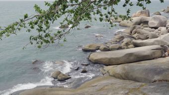 海边免费下载免费下载视频素材