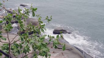 海边免费下载免费下载视频素材