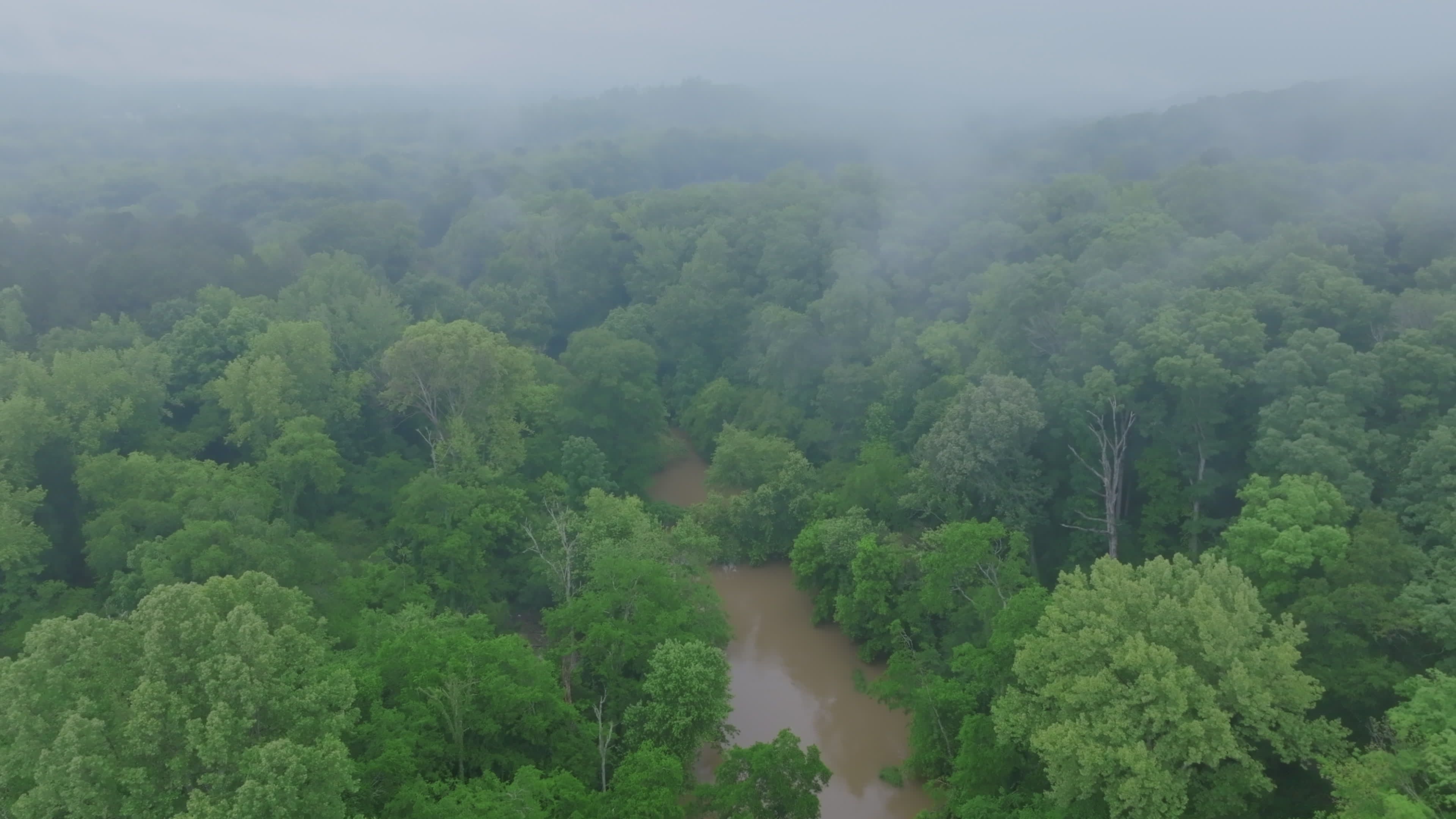 Rainforest Aerial Videos, Download The BEST Free 4k Stock Video Footage ...