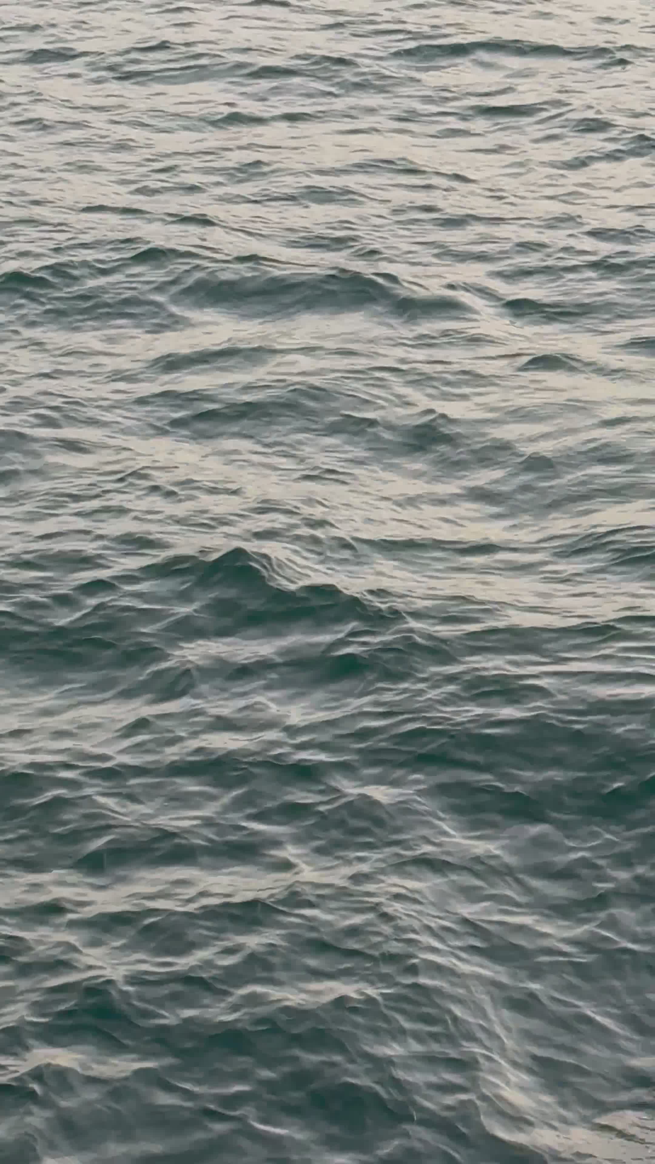 Video by Kenan Turguç