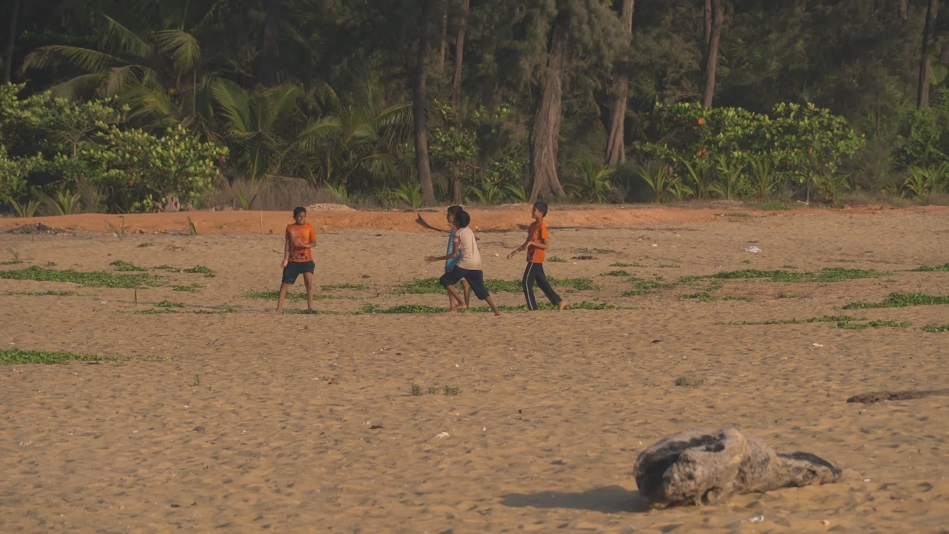 Children Playing on a Serene Sandy Beach Free Stock Video Footage ...