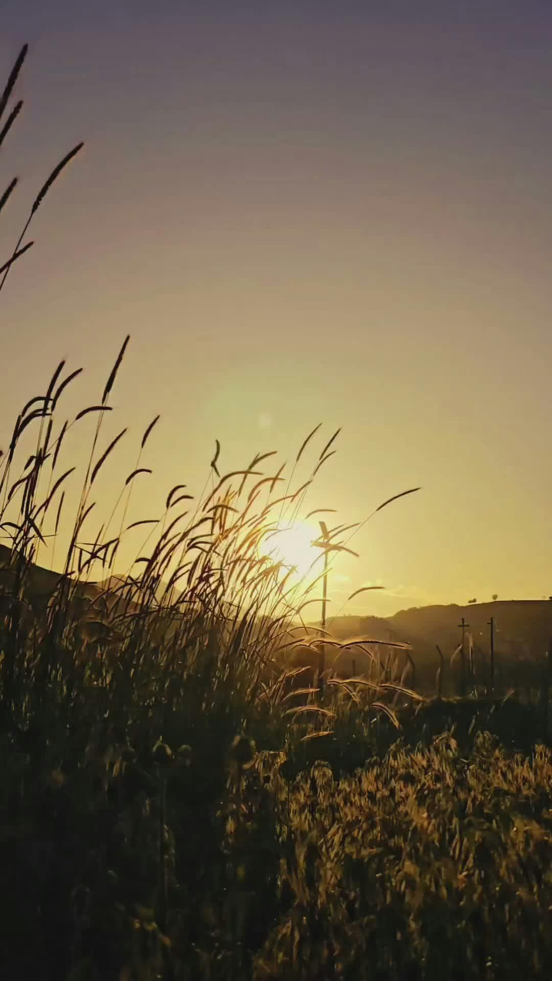 Video by Hanifi Sarıkaya