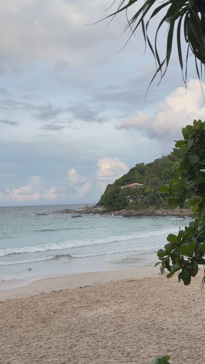 Scenic Tropical Beach with Lush Greenery Free Stock Video Footage ...
