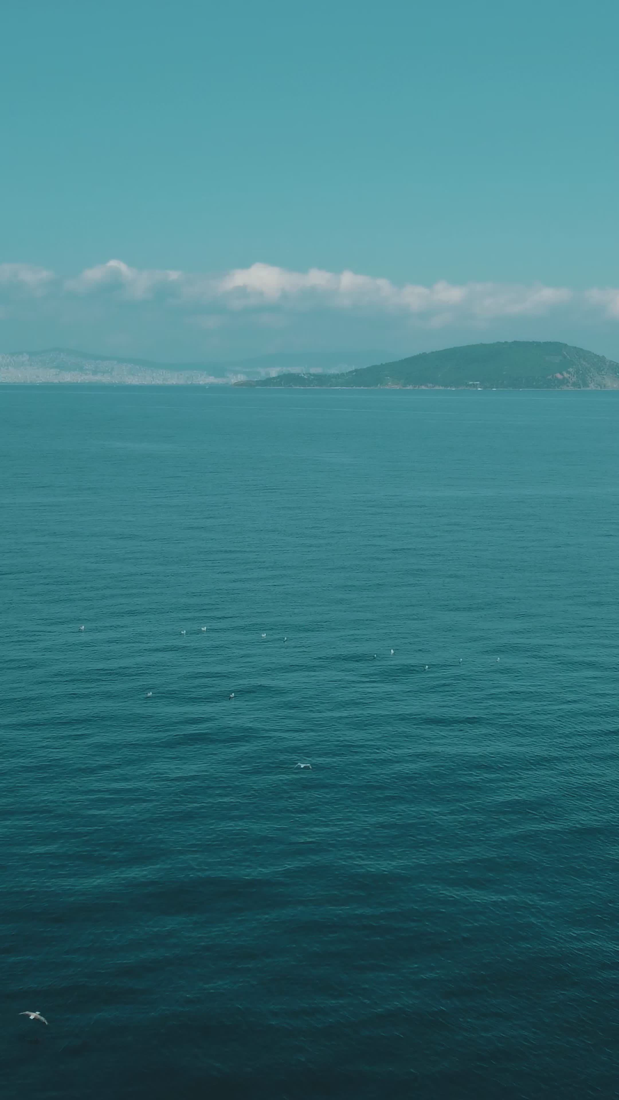 take me under
🎥 Kenan Turguç · Pexels
#ocean #underwater #marinelife #nature #relax