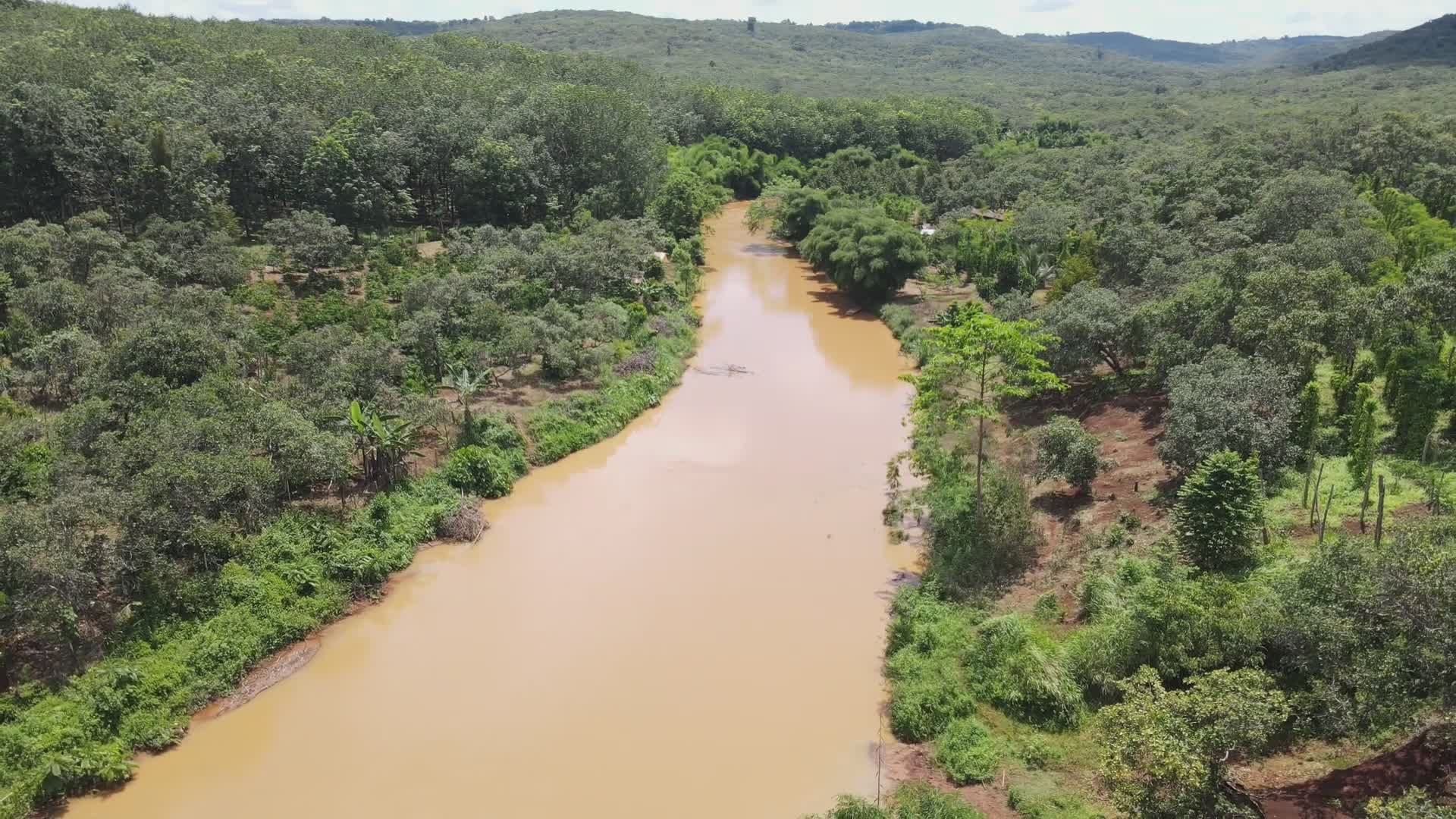Aerial View of Serene River in Lush Forest Free Stock Video Footage ...