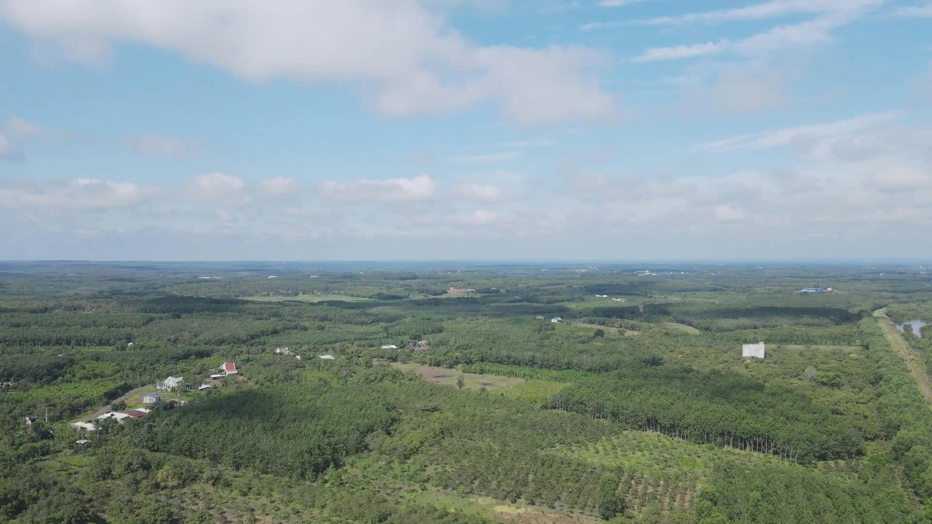 Video by NGUYỄN THÀNH NHƠN