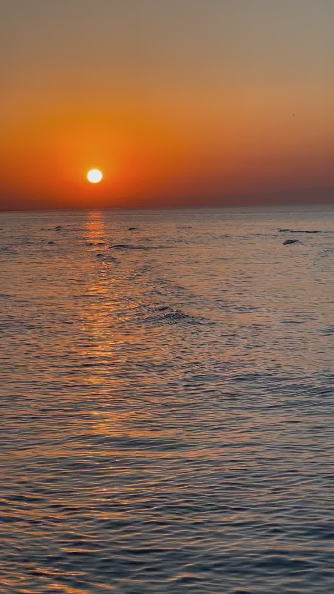 Peaceful Ocean Sunset with Paddleboarders Free Stock Video Footage ...