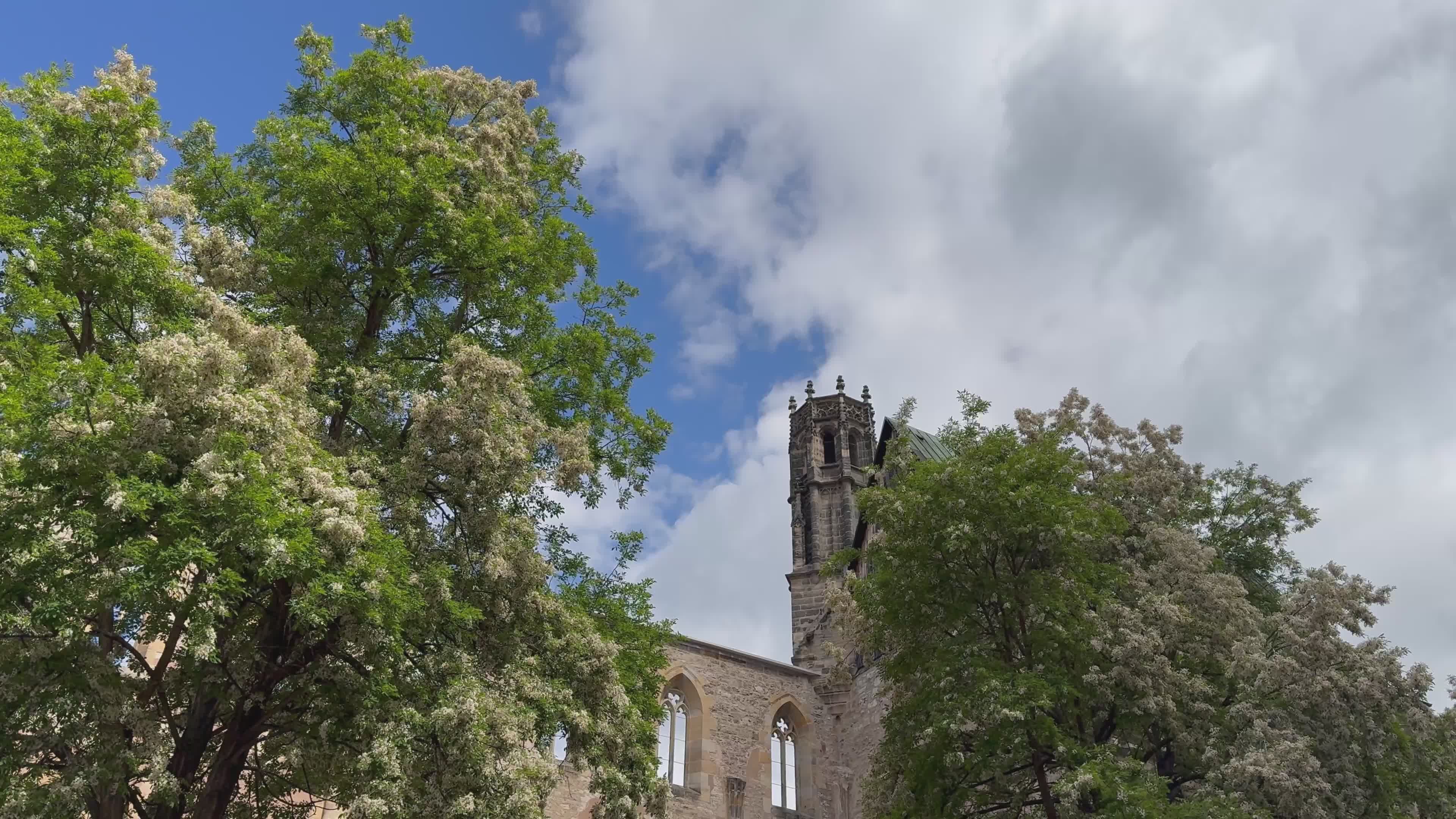 Historic Monastery with Lush Greenery and Tower Free Stock Video ...