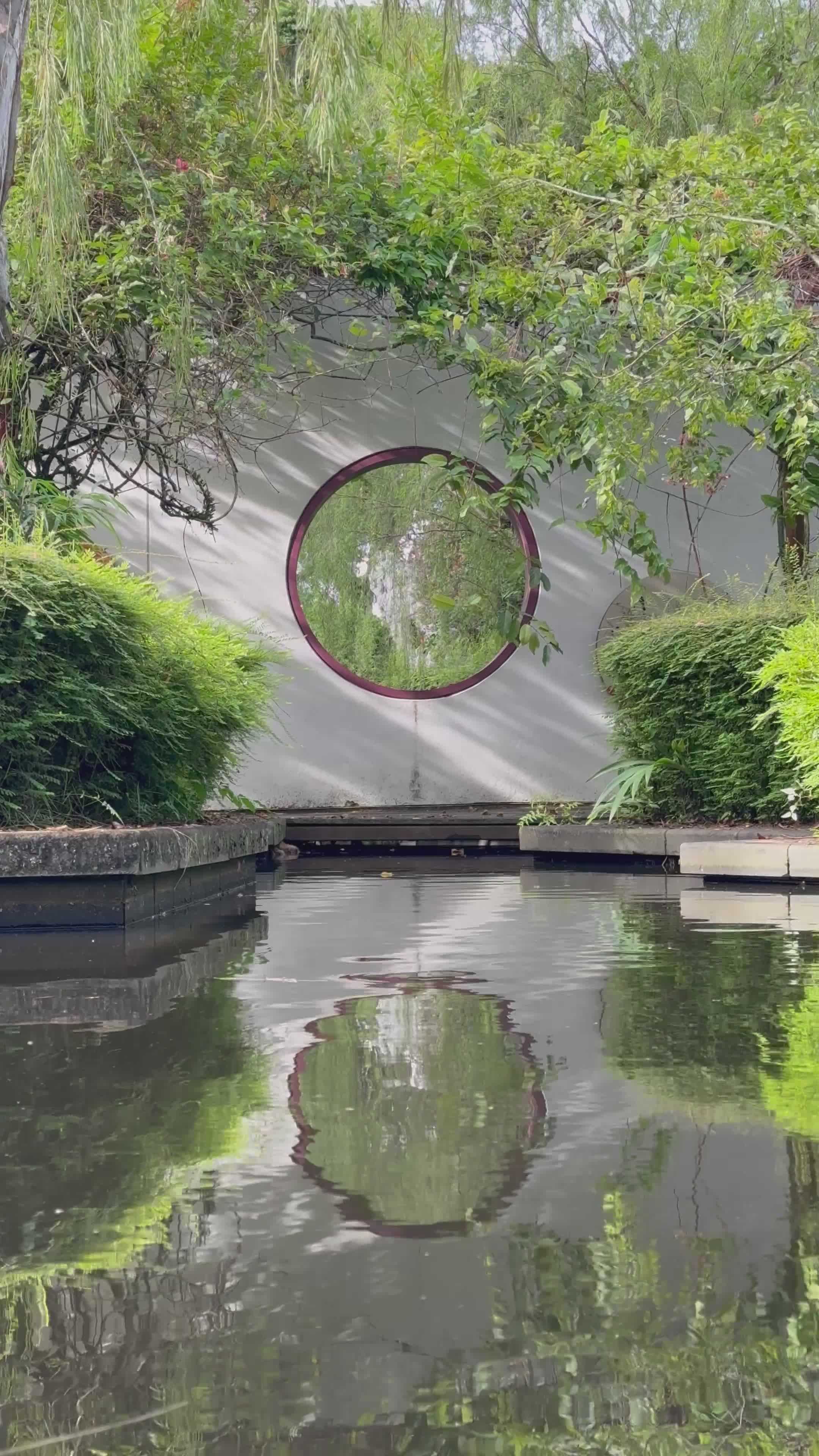 Serene Garden with Reflective Pond View Free Stock Video Footage ...