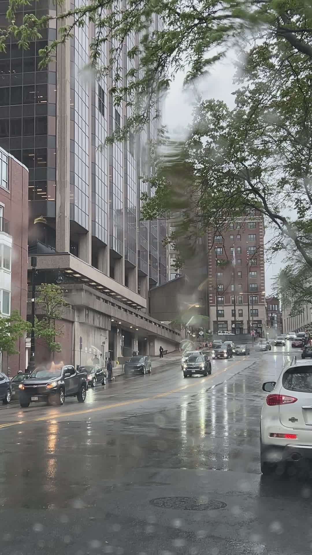 Rainy City Street with Cars and Buildings Free Stock Video Footage ...