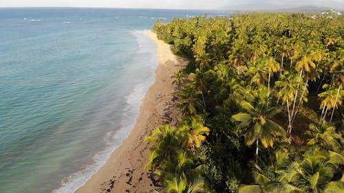 在多米尼加共和国的热带海滩的无人机画面