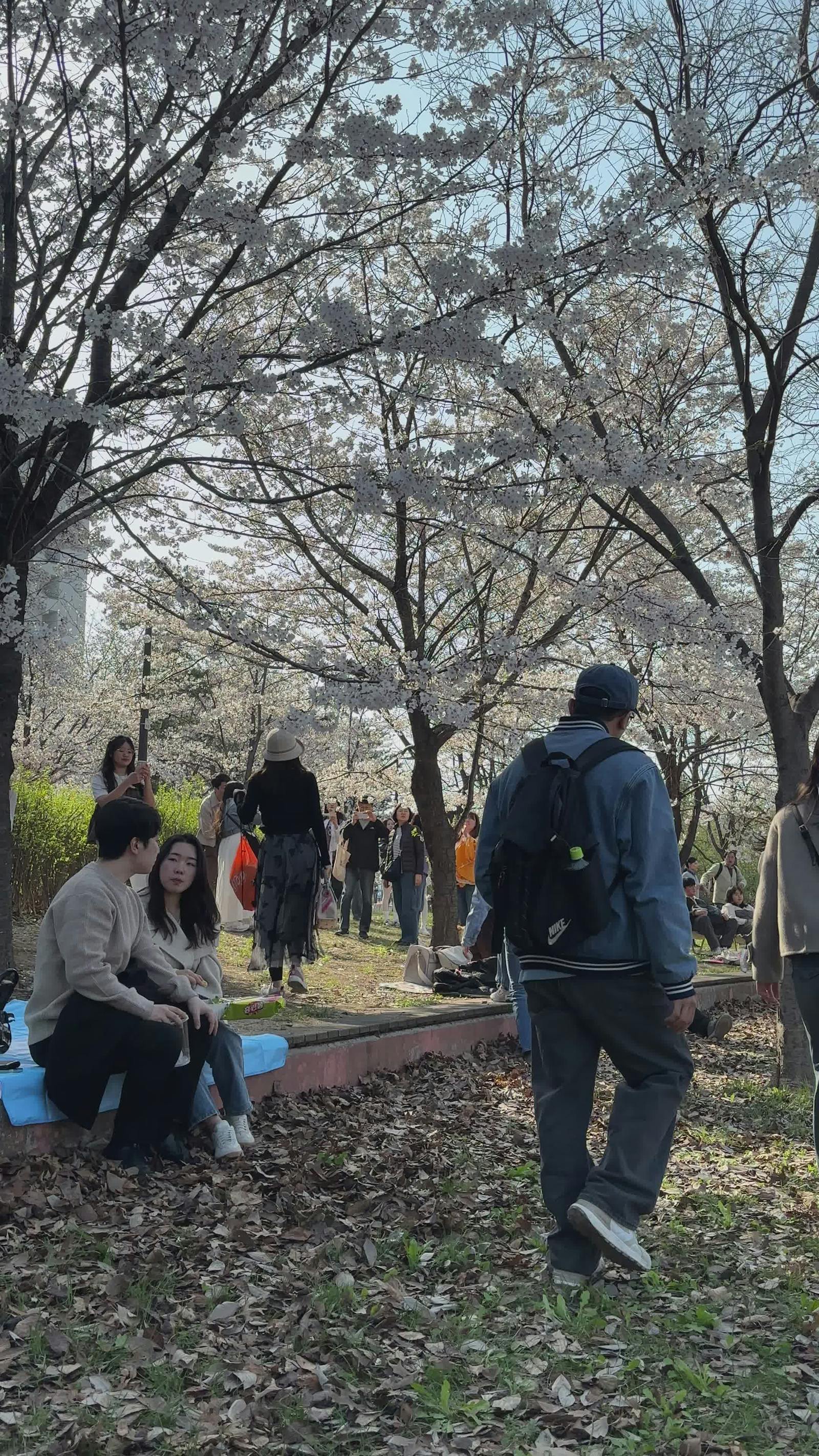 Stunningly+Beautiful+Naked+Women Videos, Download The BEST Free 4k